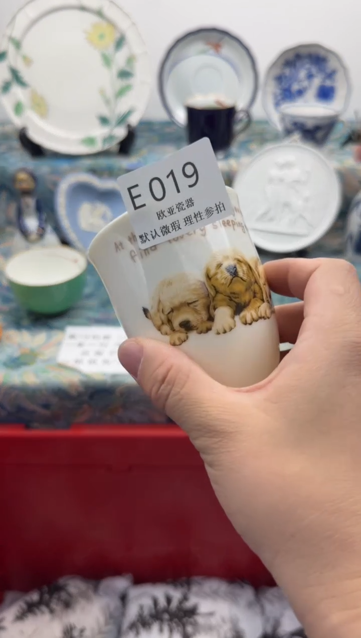 瓷片?****?          E019