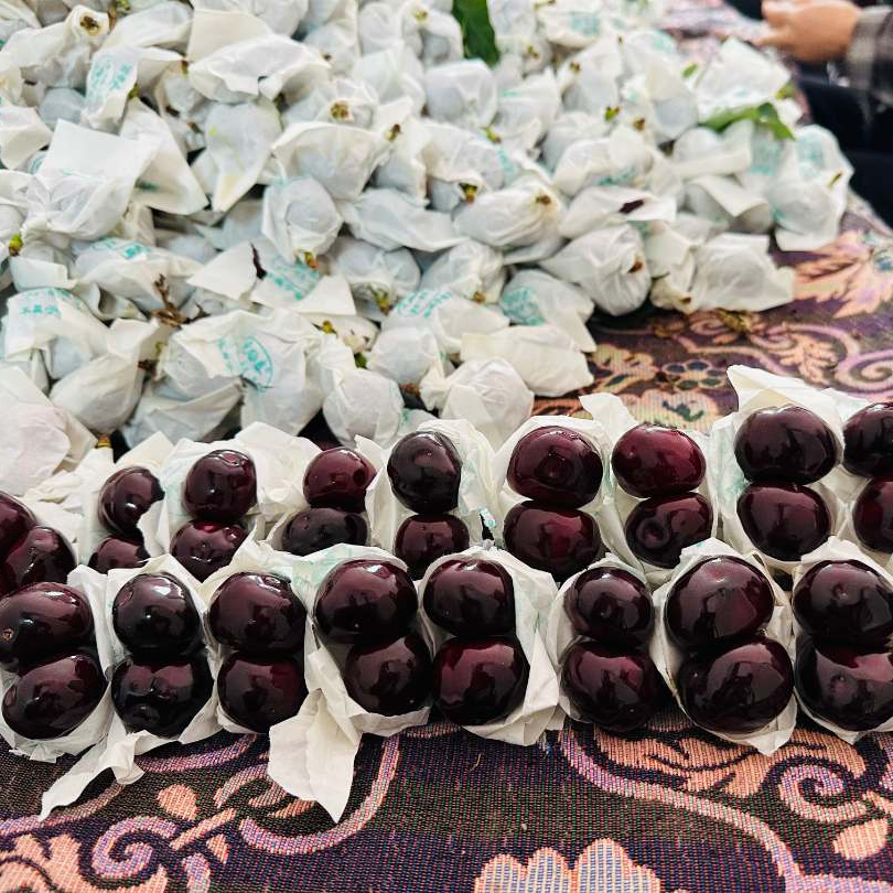 【套袋黑珍珠】三斤R带点果酸（没有特意挑选大小）汉源车厘子