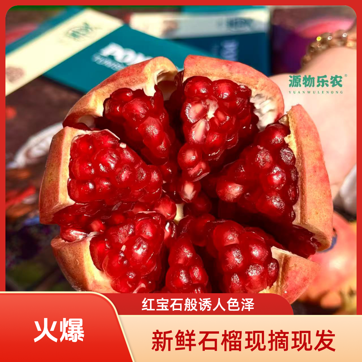 会理突尼斯软籽石榴（8-1）