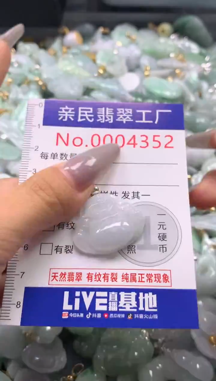 颈饰未镶嵌翡翠4352