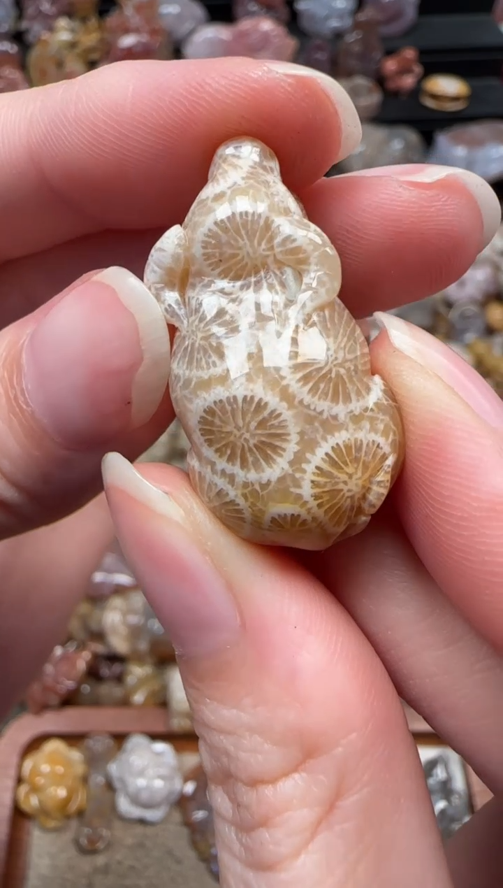 颈饰未镶嵌硅化珊瑚（珊瑚玉）375