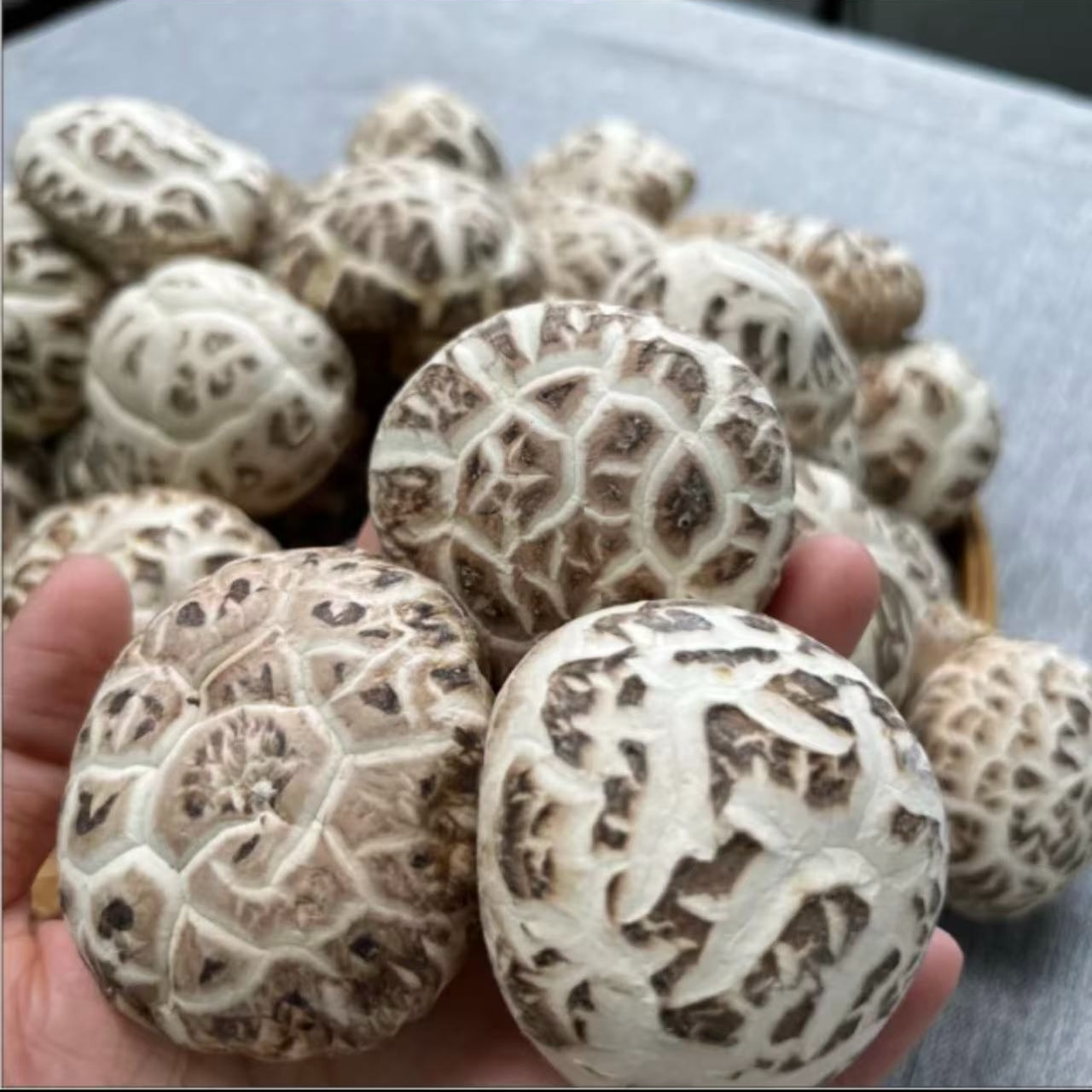 湖北广水特产花菇农家种植精选干花菇香菇
