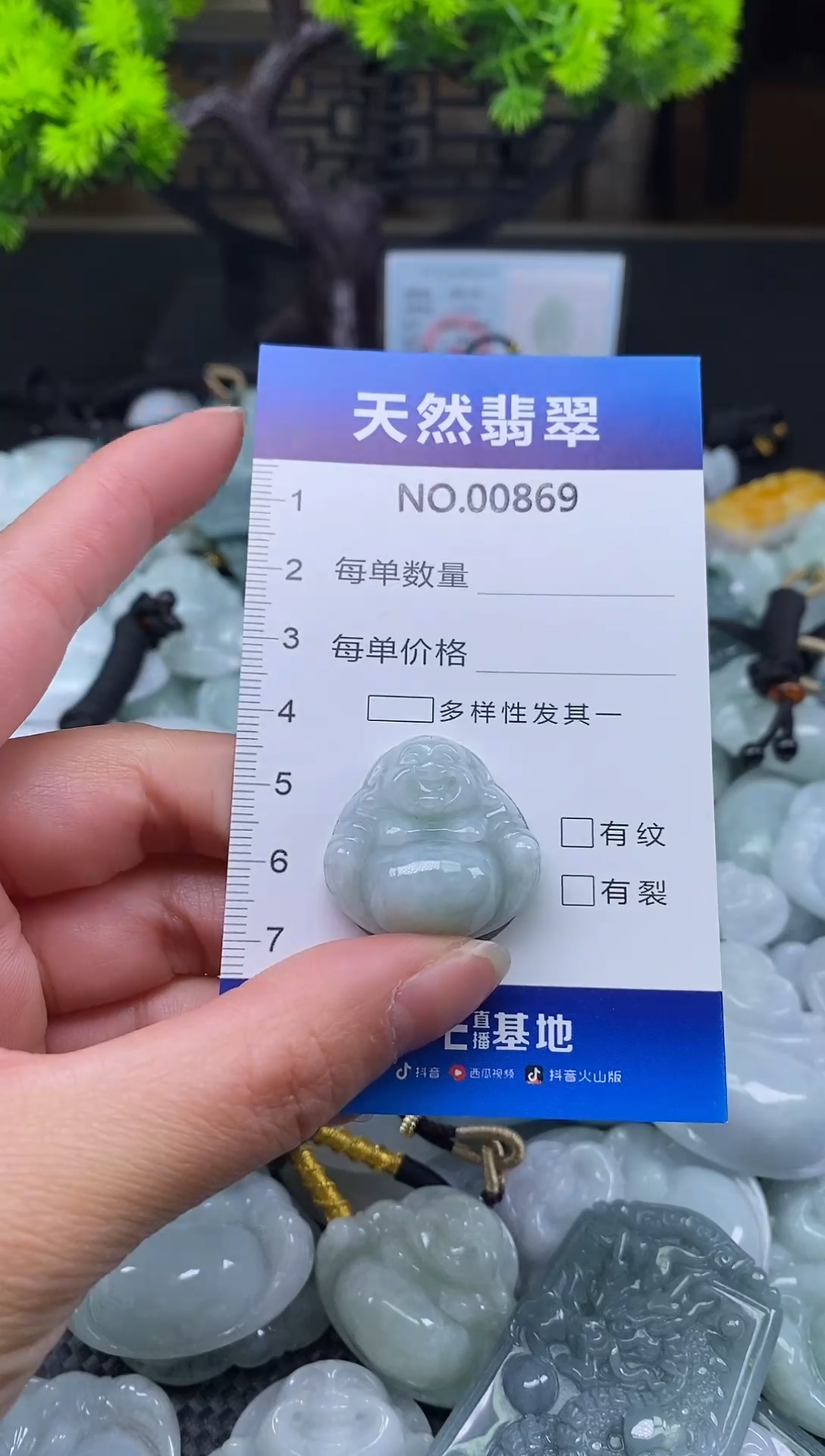 未镶嵌挂件翡翠天然缅甸翡翠869