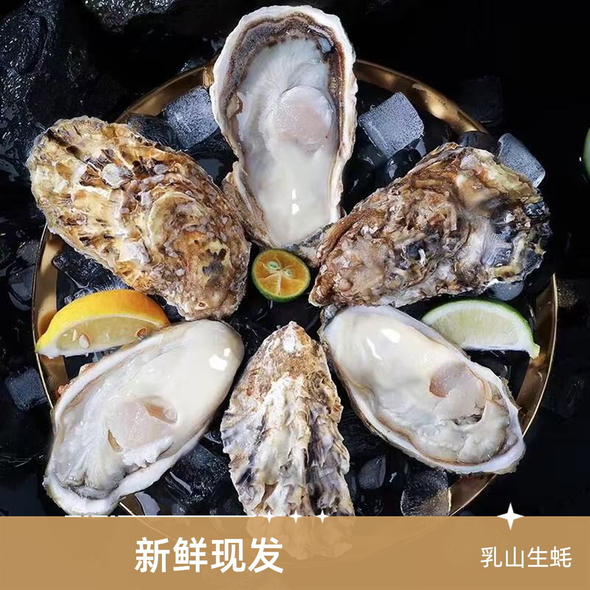 精品正宗乳山生蚝现发包一小时到家单只规格多样全规格