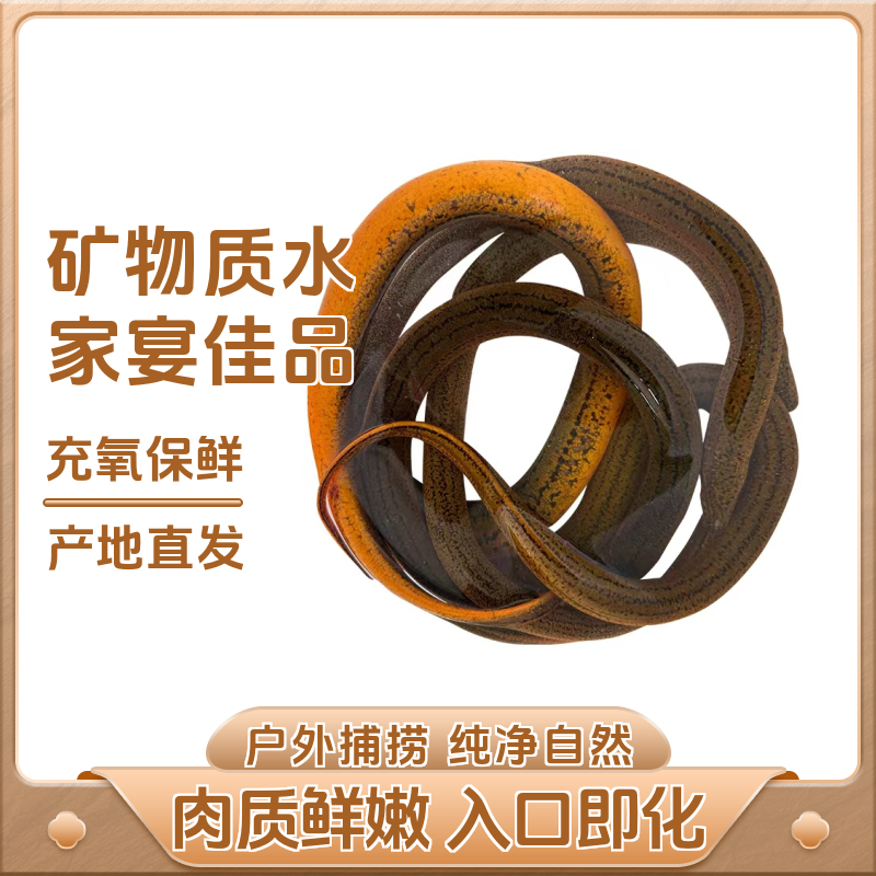 3斤竣富盘龙鳝鳝丝鲜活土鳝盘龙鳝包活到家稻田抓起来了黄鳝苗