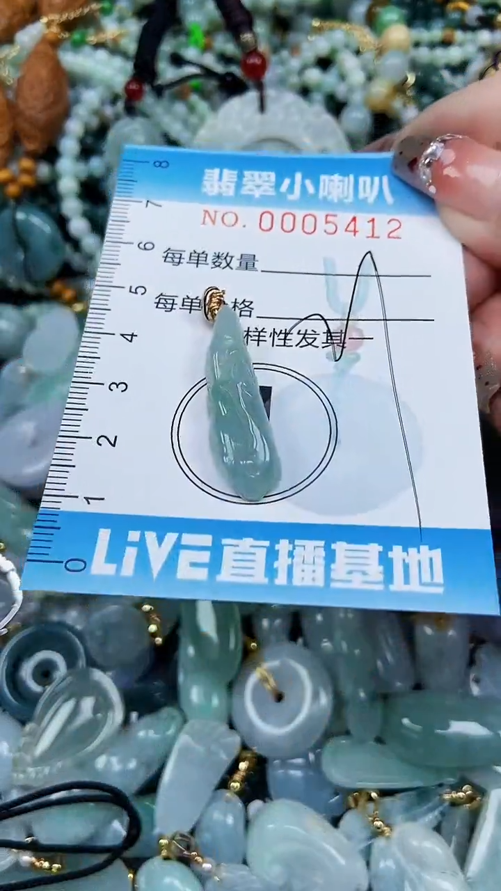 【闪购商品】翡翠颈饰未镶嵌闪购0005412多样性发其一