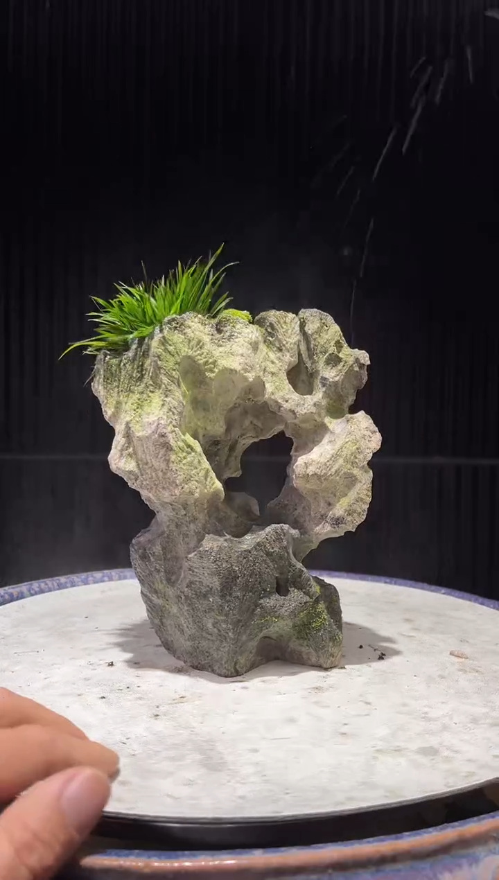 造型吴定石一物一拍专属