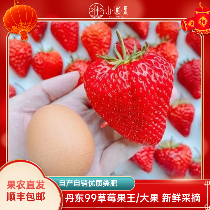 【顺丰空运果农直发】丹东东港99牛奶草莓新鲜采摘坏果包赔孕妇可食