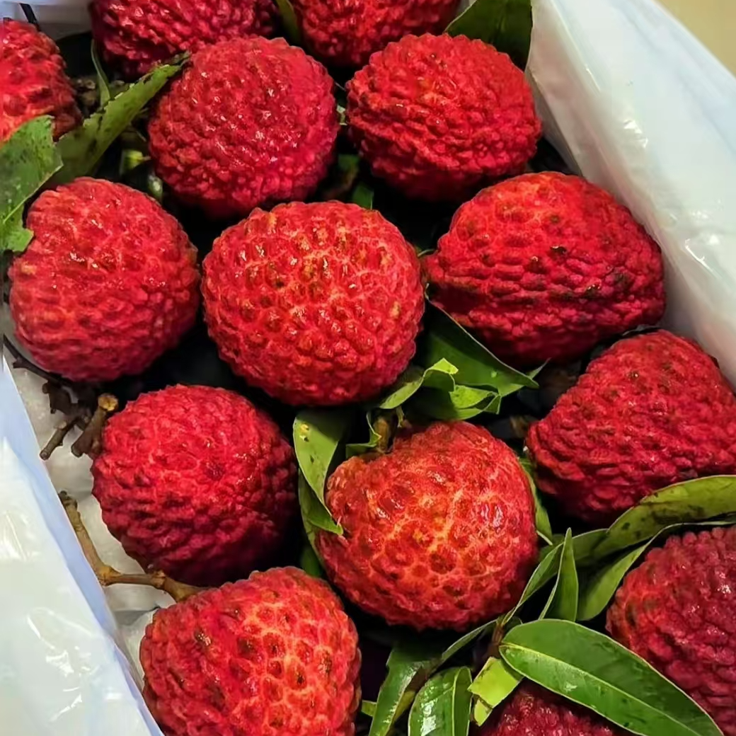 海南火山口荔枝王新鲜巨大荔枝3斤5斤荔枝同城送