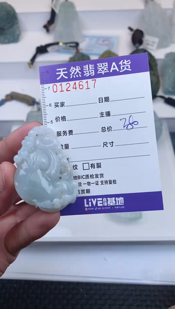 【闪购商品】翡翠颈饰未镶嵌         617