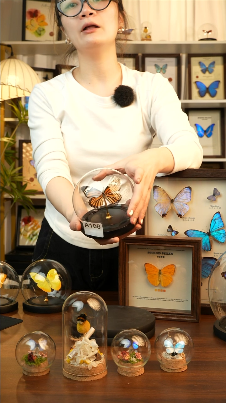 虎斑蝶小玻璃罩款A106