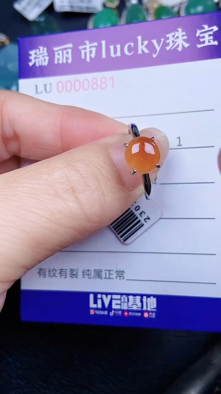 颈饰银S925镶嵌翡翠0881