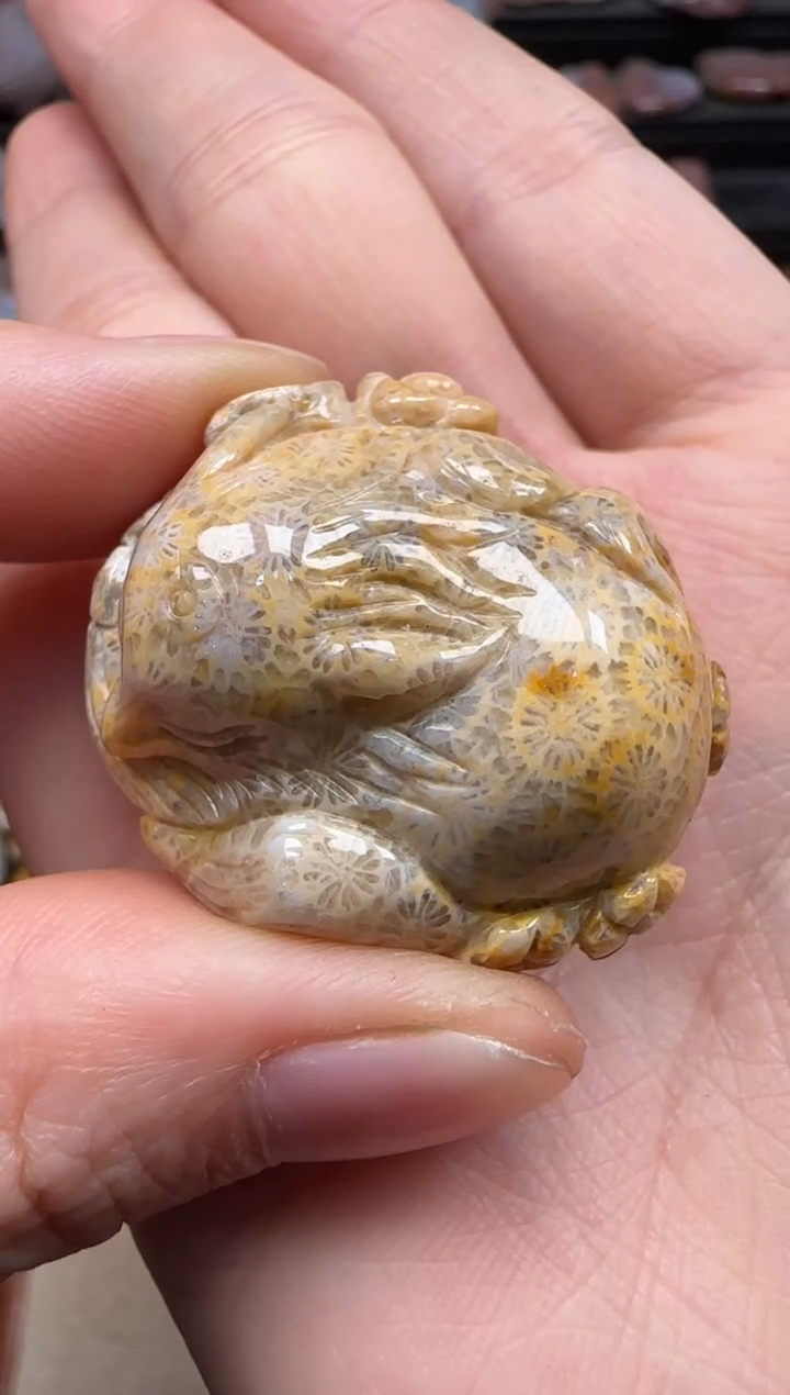 【闪购商品】硅化珊瑚（珊瑚玉）颈饰未镶嵌631