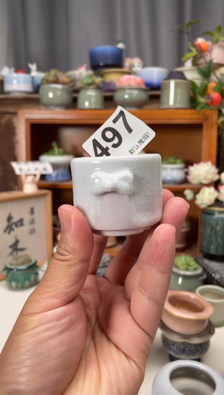瓷片j**h497知木小芳花盆
