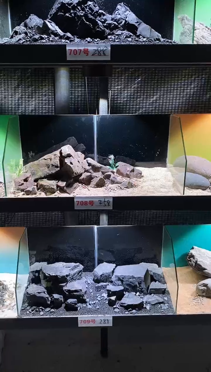 708号鱼缸造景（不含底砂）