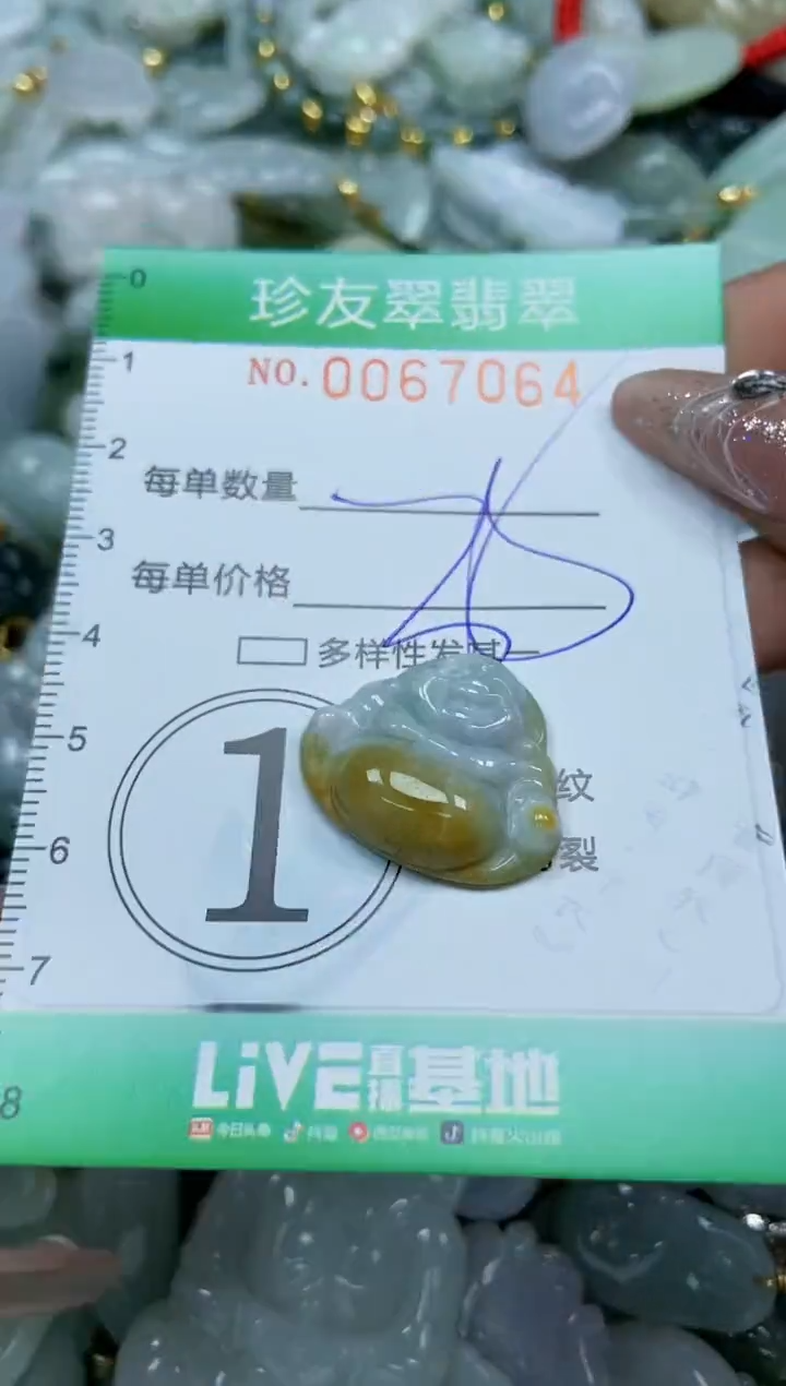 【闪购商品】翡翠颈饰未镶嵌闪购商品0067064