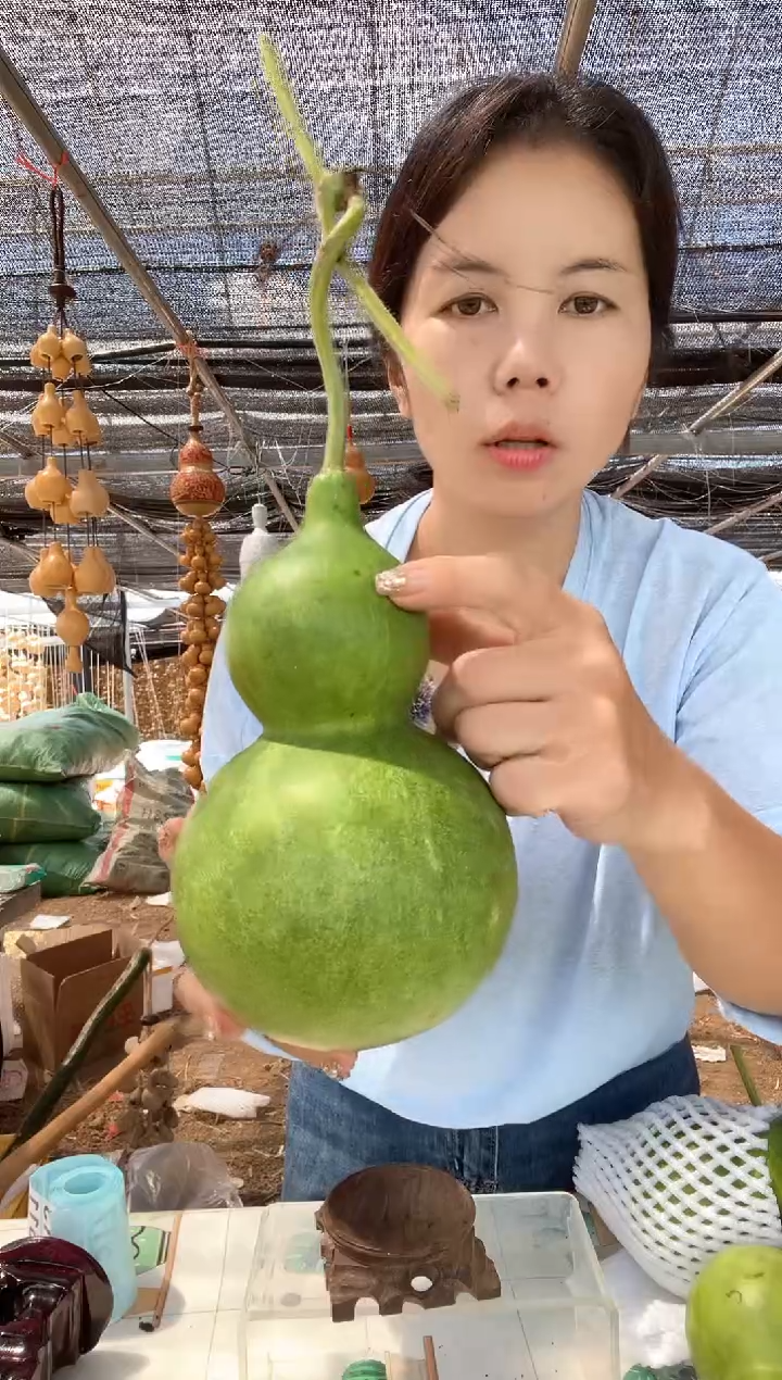 499天然葫芦摆件 一物一拍龙头不保售后微瑕疵