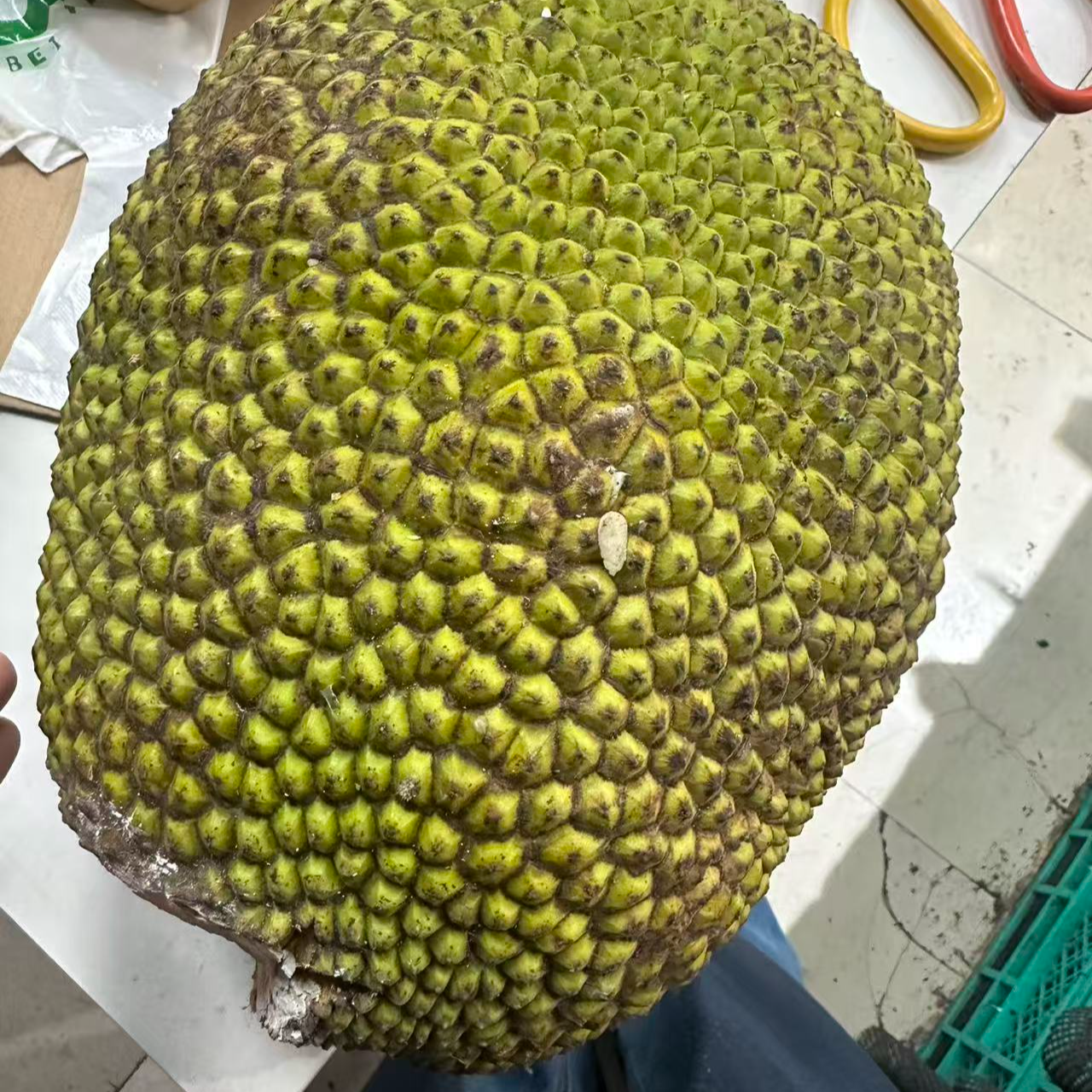 9.9/份果切黄肉菠萝蜜（400克）