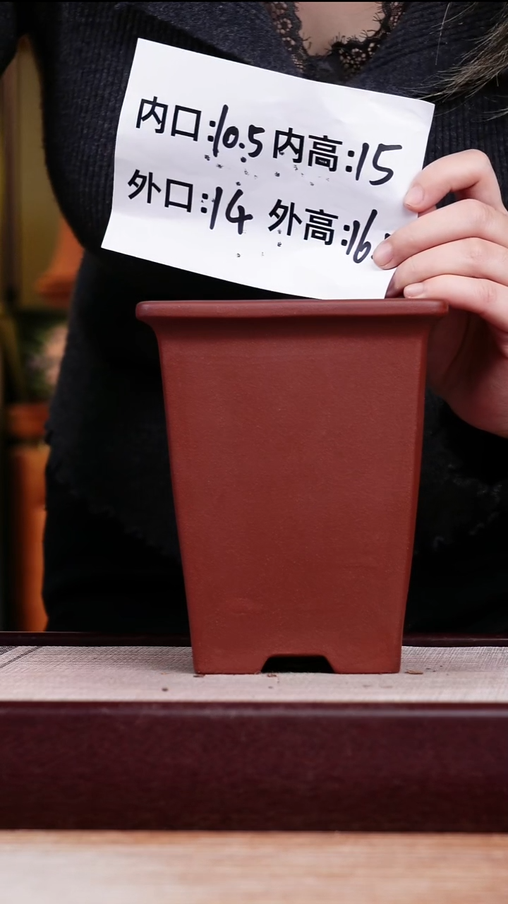 紫砂花盆枣红泥小四方一个