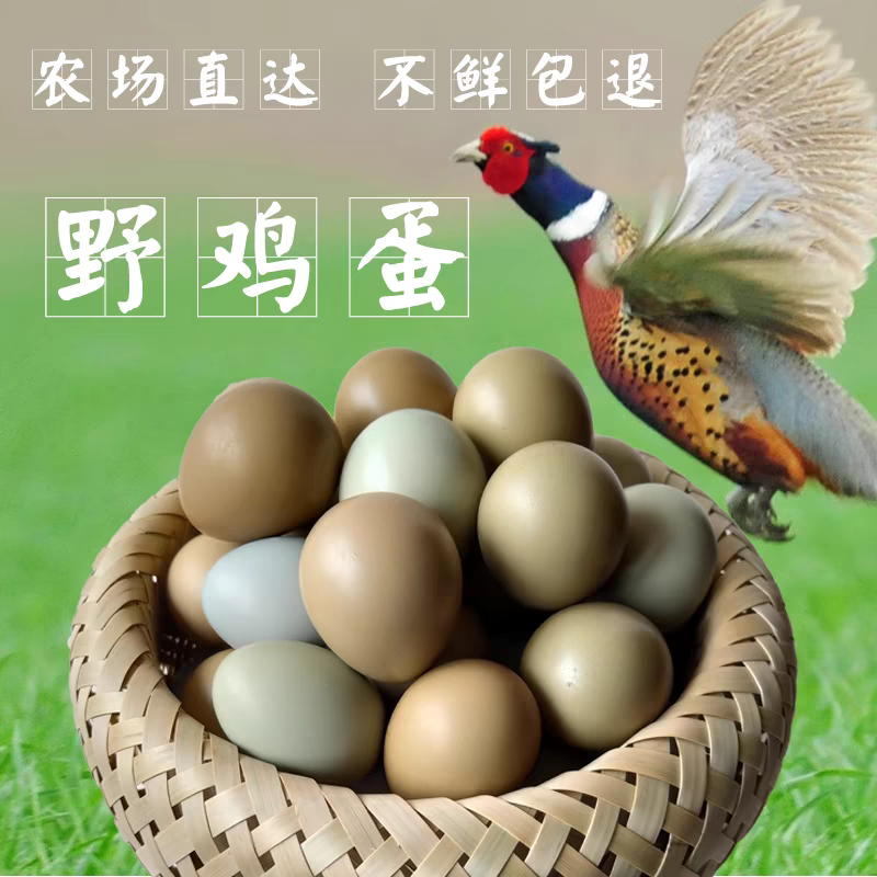 正宗天然散养七彩山鸡蛋宝宝辅食营养美味60枚