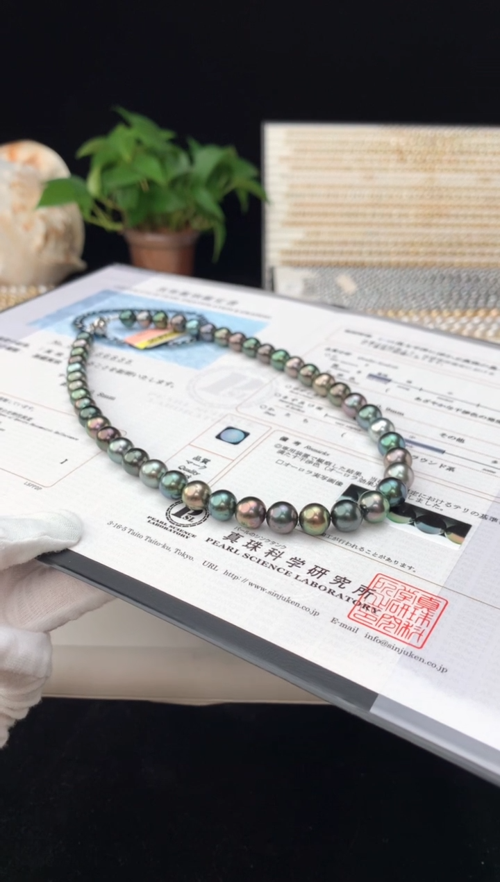 【闪购商品】海水珍珠颈饰银S925镶嵌海水大溪地珍珠项链8-10mm