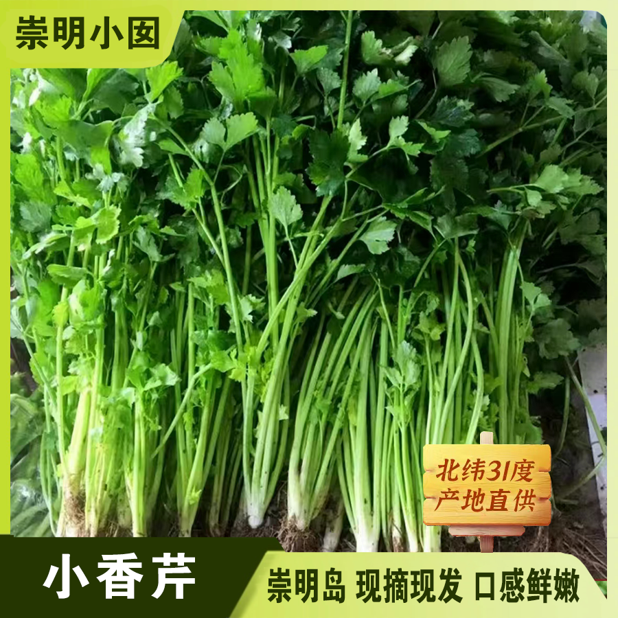 【现摘现发】生态岛 小香芹2-5斤   农家本地新鲜芹菜  顺丰到家绿色蔬菜芹菜