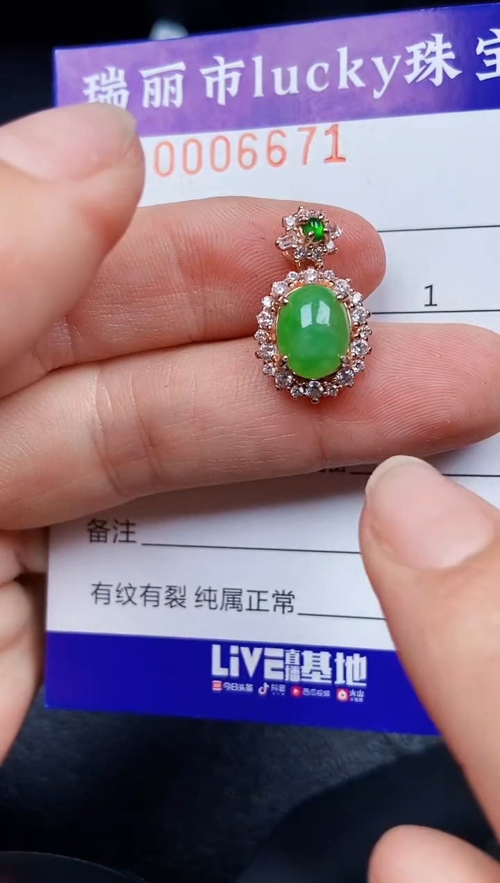 翡翠银S925镶嵌颈饰6671