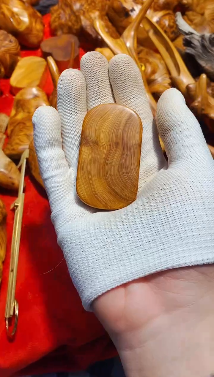 【闪购商品】柏木57崖柏崖柏崖柏