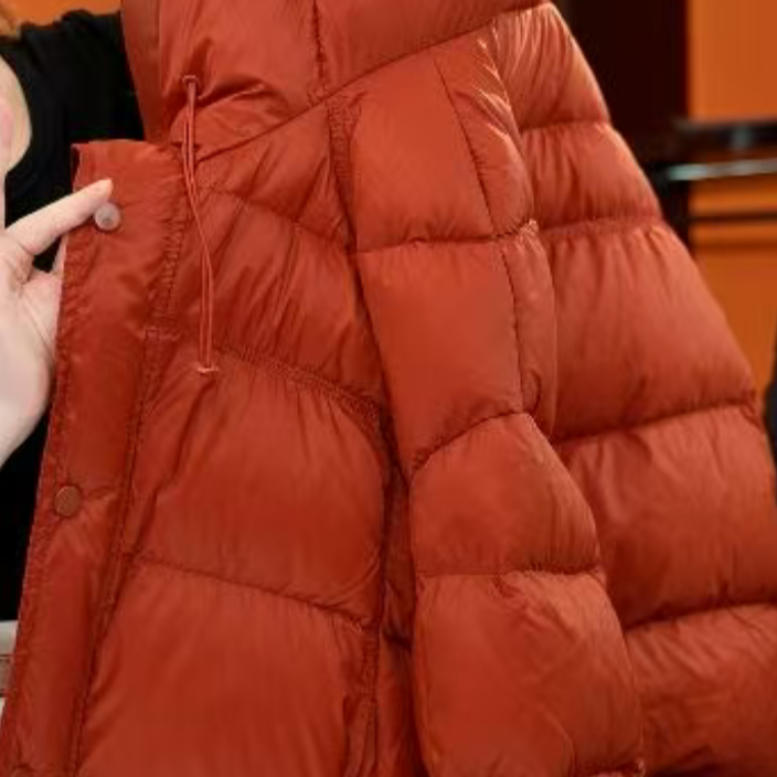 1【杭州专柜正品运费补贴】加厚连帽新款鹅绒服H1013