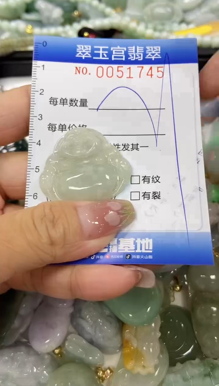 【闪购商品】翡翠颈饰未镶嵌闪购0051745