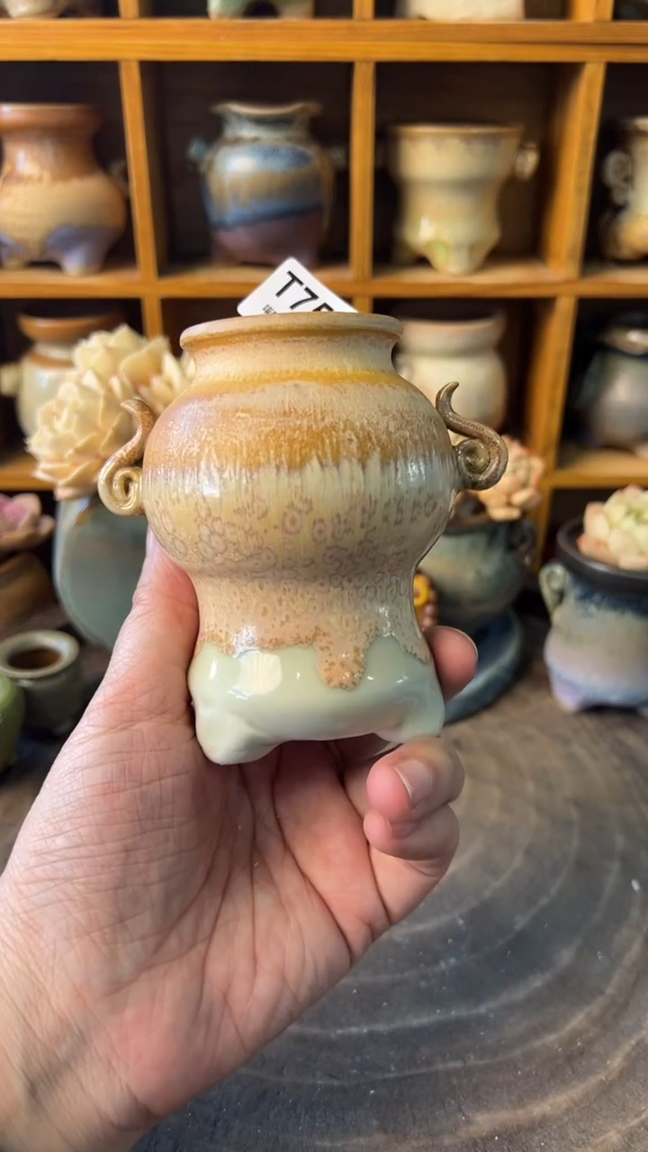 朝**夕757【多肉花盆多肉盆】