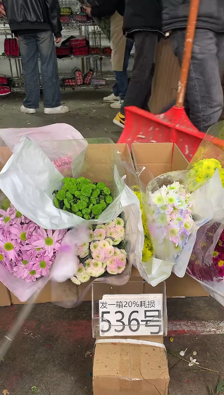 536号♥中通不指定随机颜色含20%耗损发一箱鲜花