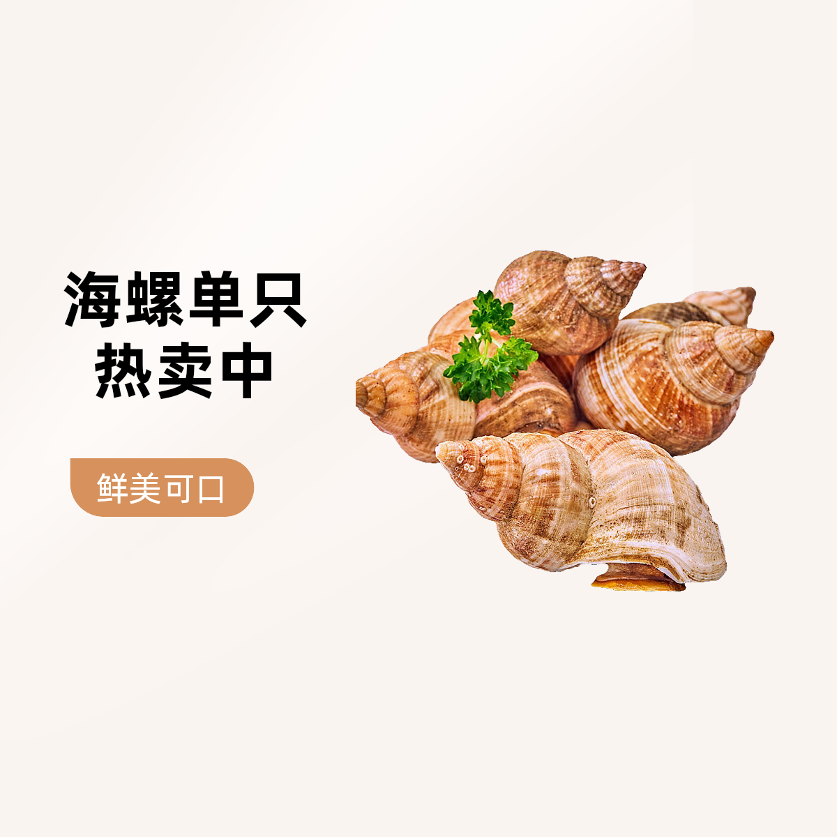 大海螺海鲜（单只）精品