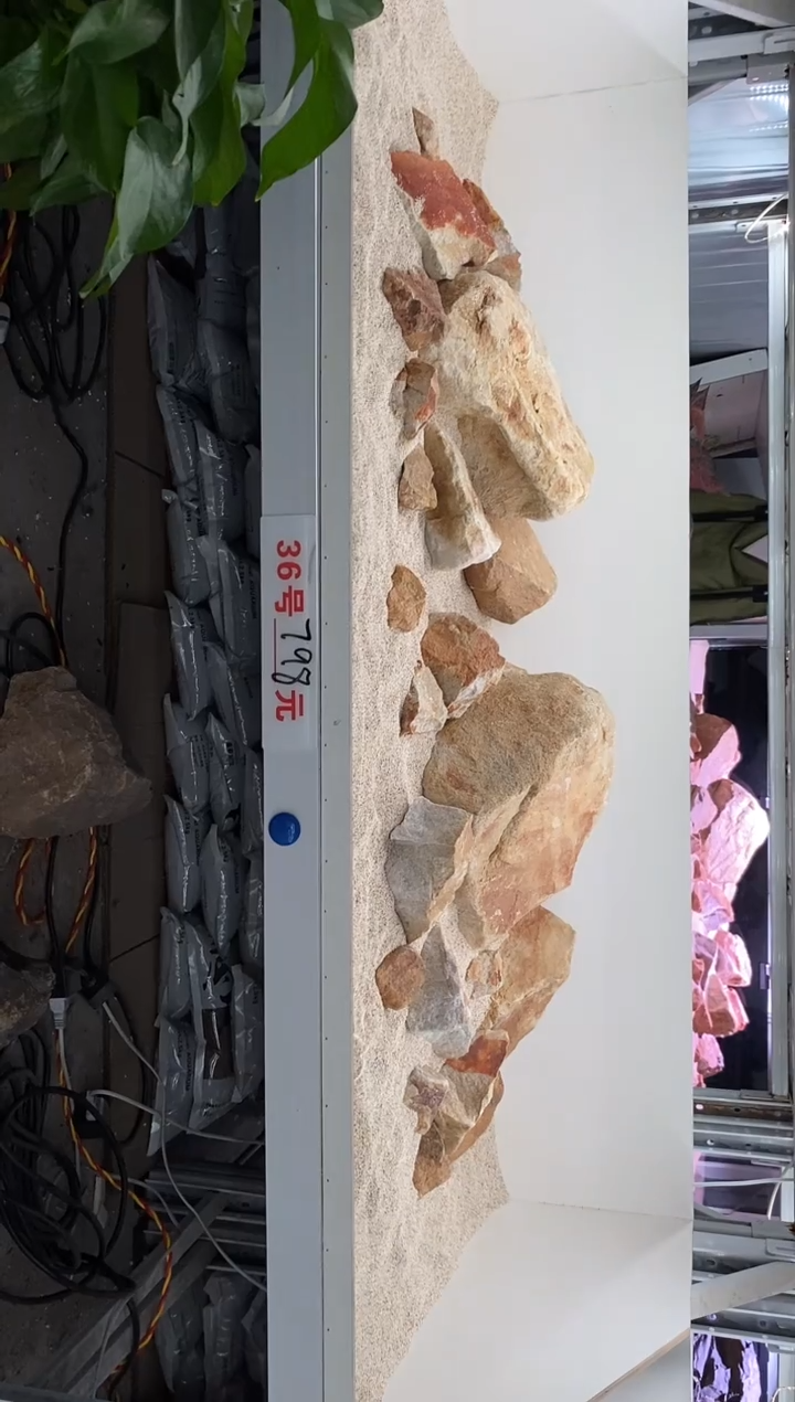 36号鱼缸造景（不含底砂）