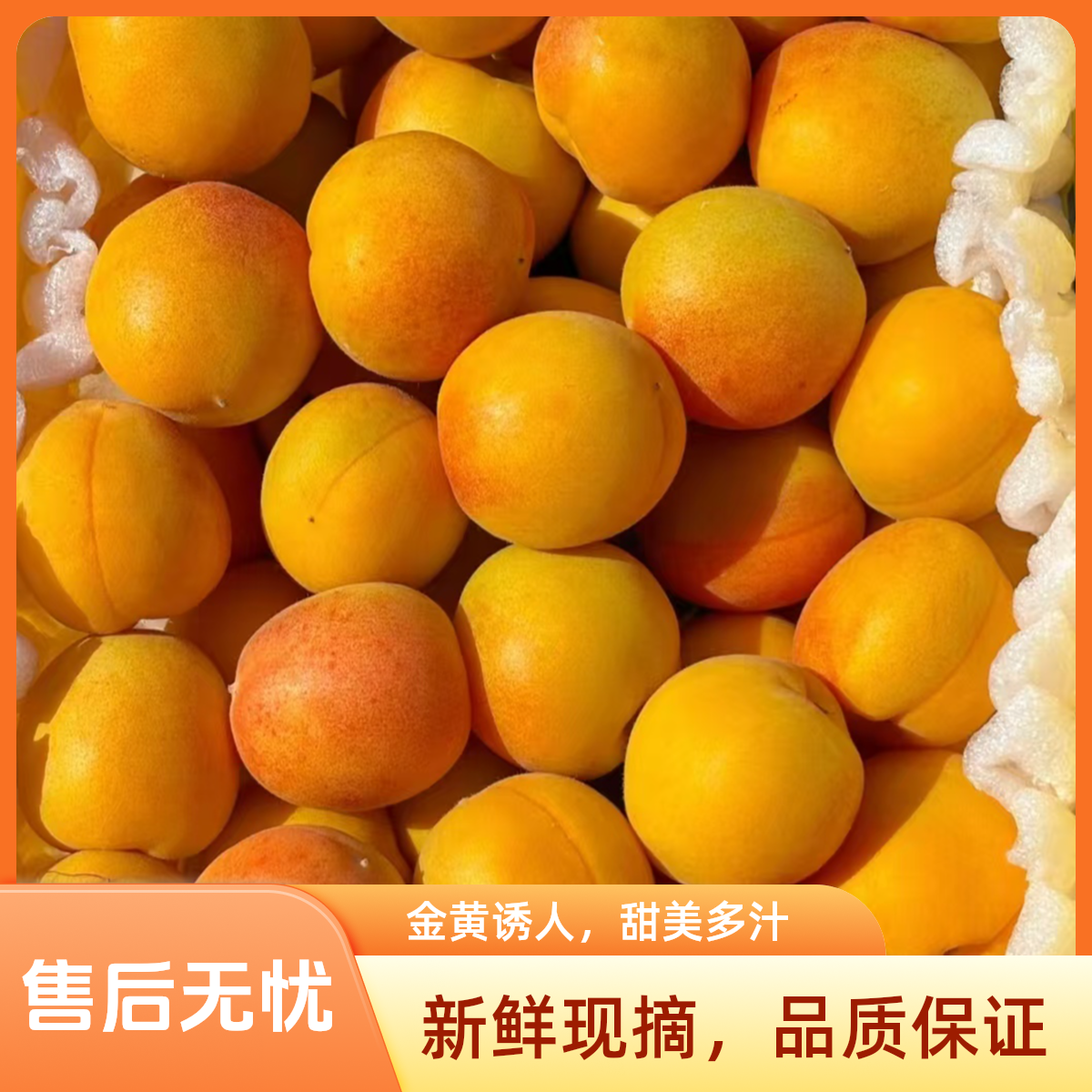 【明日到】头茬新疆吊干杏软糯甘甜3-3.5斤装新鲜水果现货直发新疆维吾尔自治区