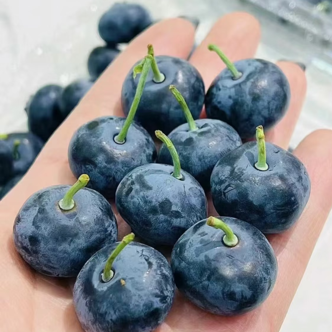 【闪送到家】云南24+巨无霸优瑞卡蓝莓 超大个 脆甜  酸甜 8甜2酸云南省