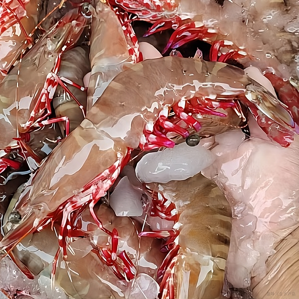 新鲜野生红爪虾 极速锁鲜发货 全国顺丰冷链包邮 8-10条/斤