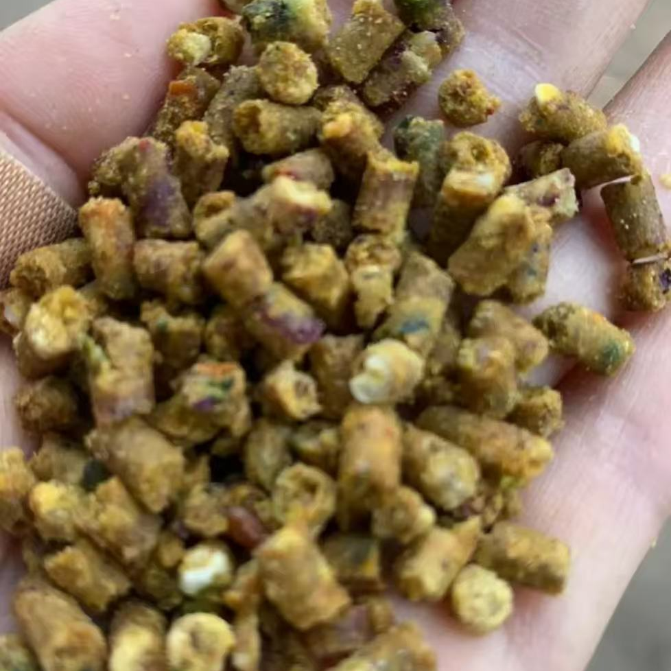 金太小太阳主食滋养丸营养丰富全面健康爱吃