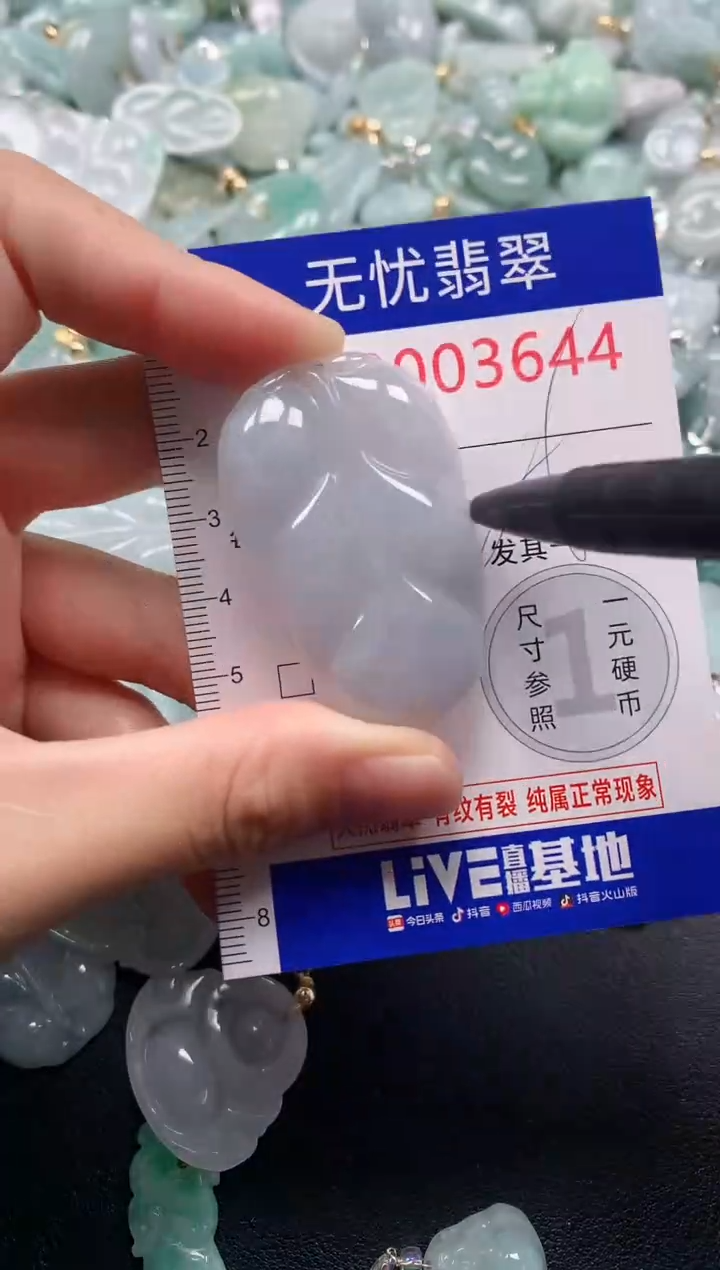 颈饰未镶嵌翡翠3644