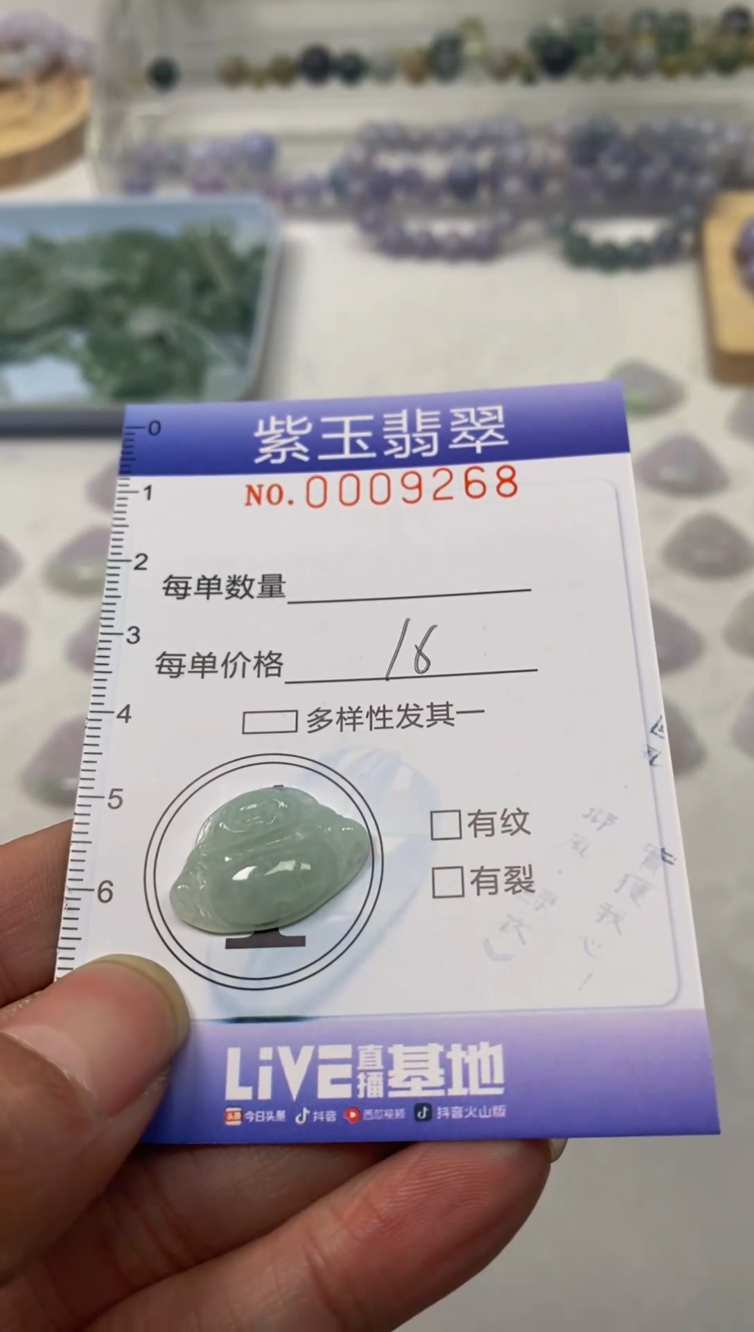 【闪购商品】翡翠颈饰未镶嵌挂件