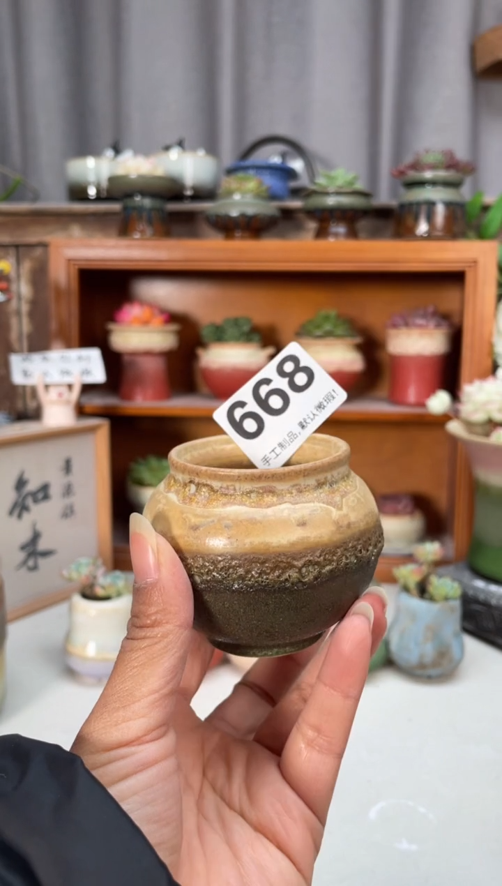 瓷片668小芳直播编号