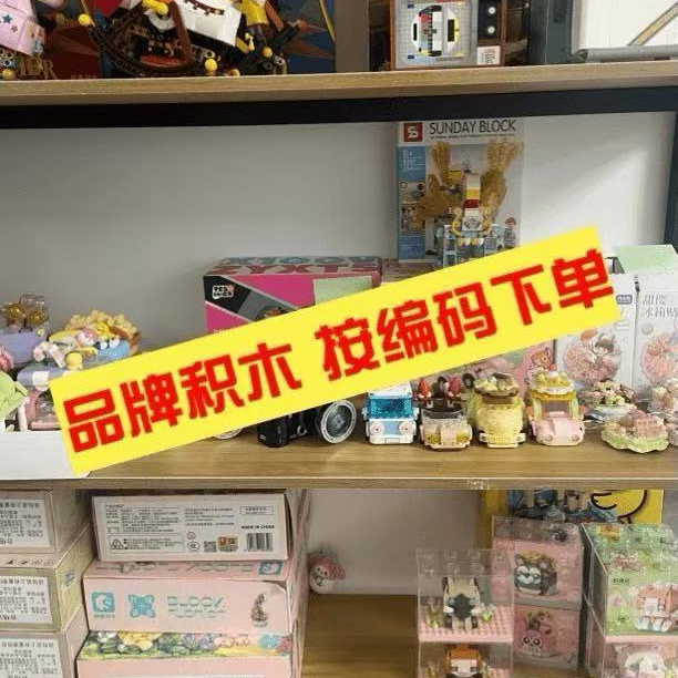 【杨较瘦专属】B01-B20积木玩具孤品男女孩潮玩直播链接按编码下单