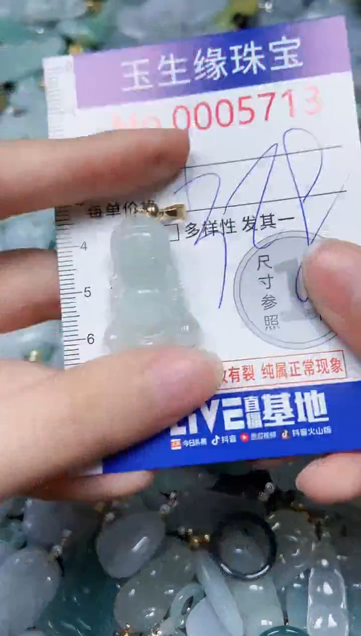 【闪购商品】翡翠颈饰未镶嵌闪购00005713