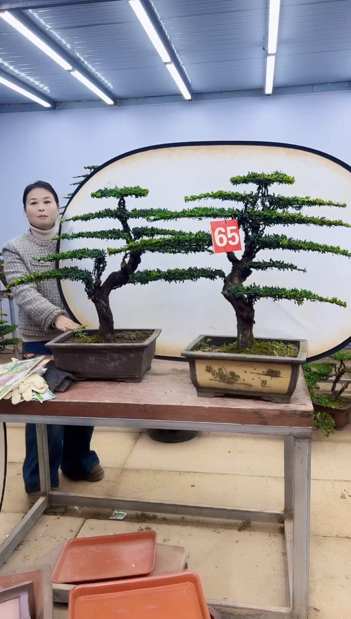 无花朵柒****队一物一拍，所见即所得