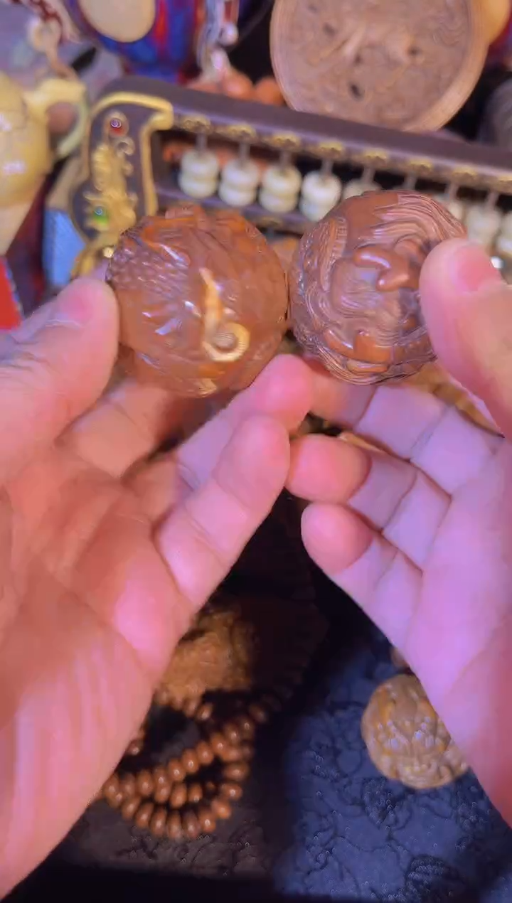 黄杨木1111111111111111111