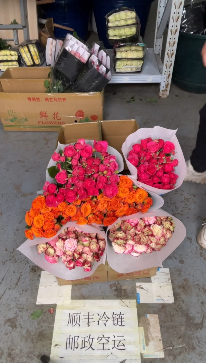 折射10枝+橙色芭比10枝+苏菲10枝