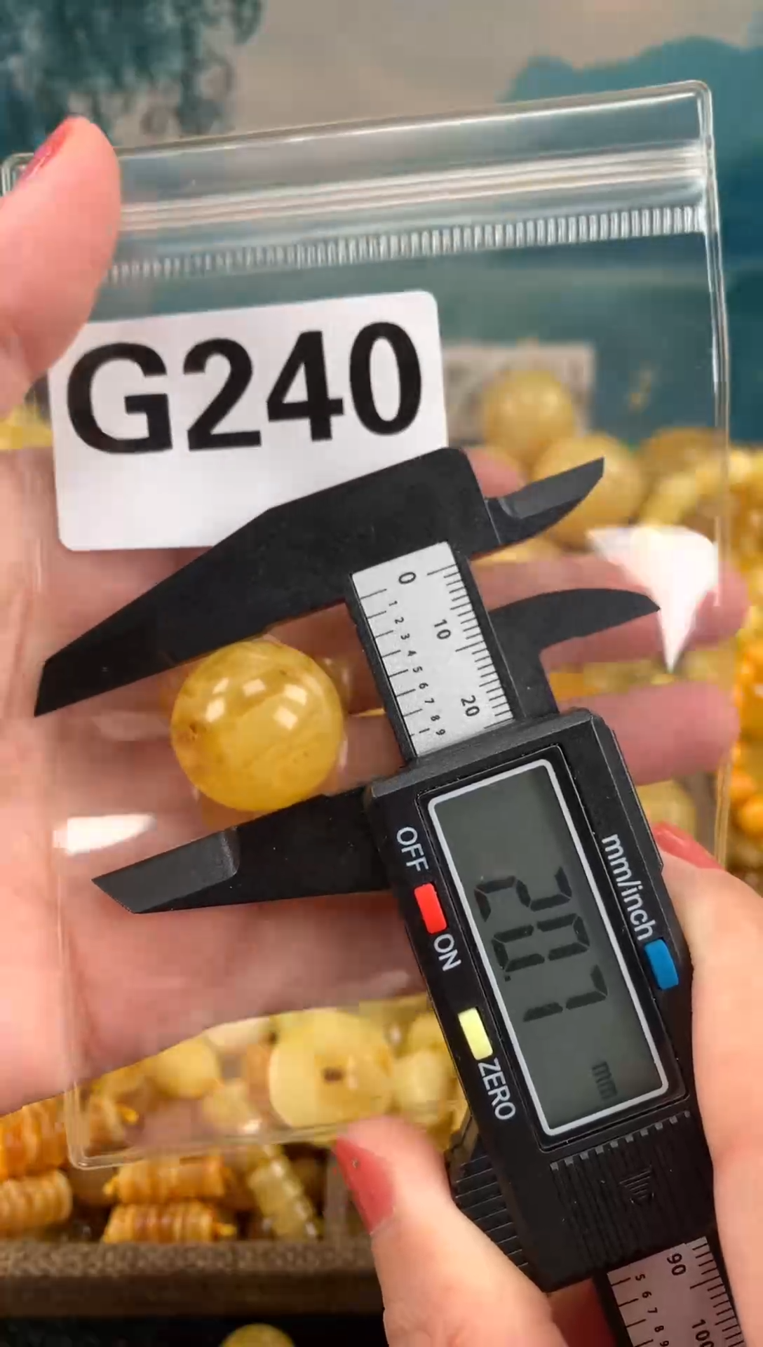 未镶嵌蜜蜡珠宝奇石20.7