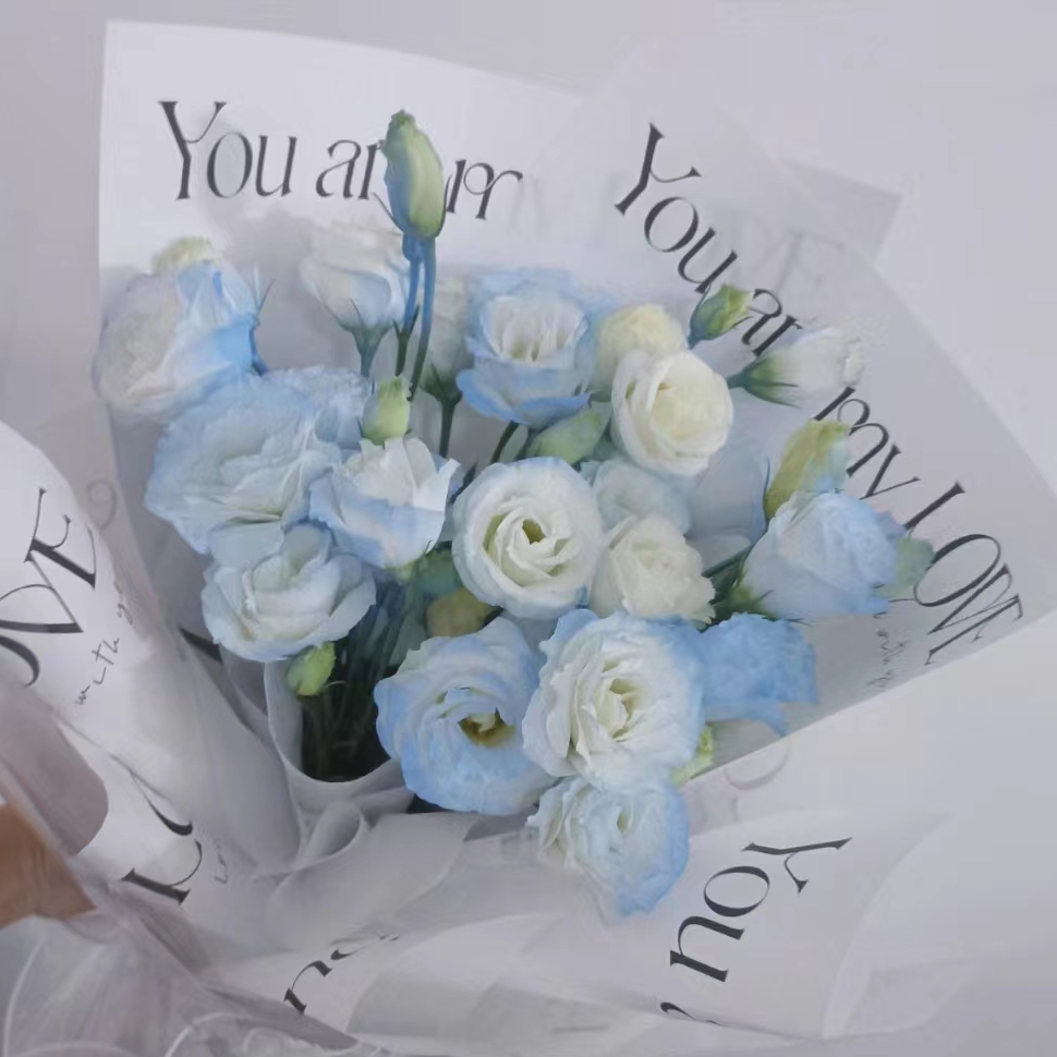 69 喷色碎冰蓝桔梗一小把+棒棒糖康乃馨10支+吸色紫色喜悦小菊3支