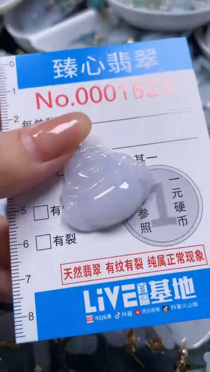 颈饰未镶嵌翡翠1623