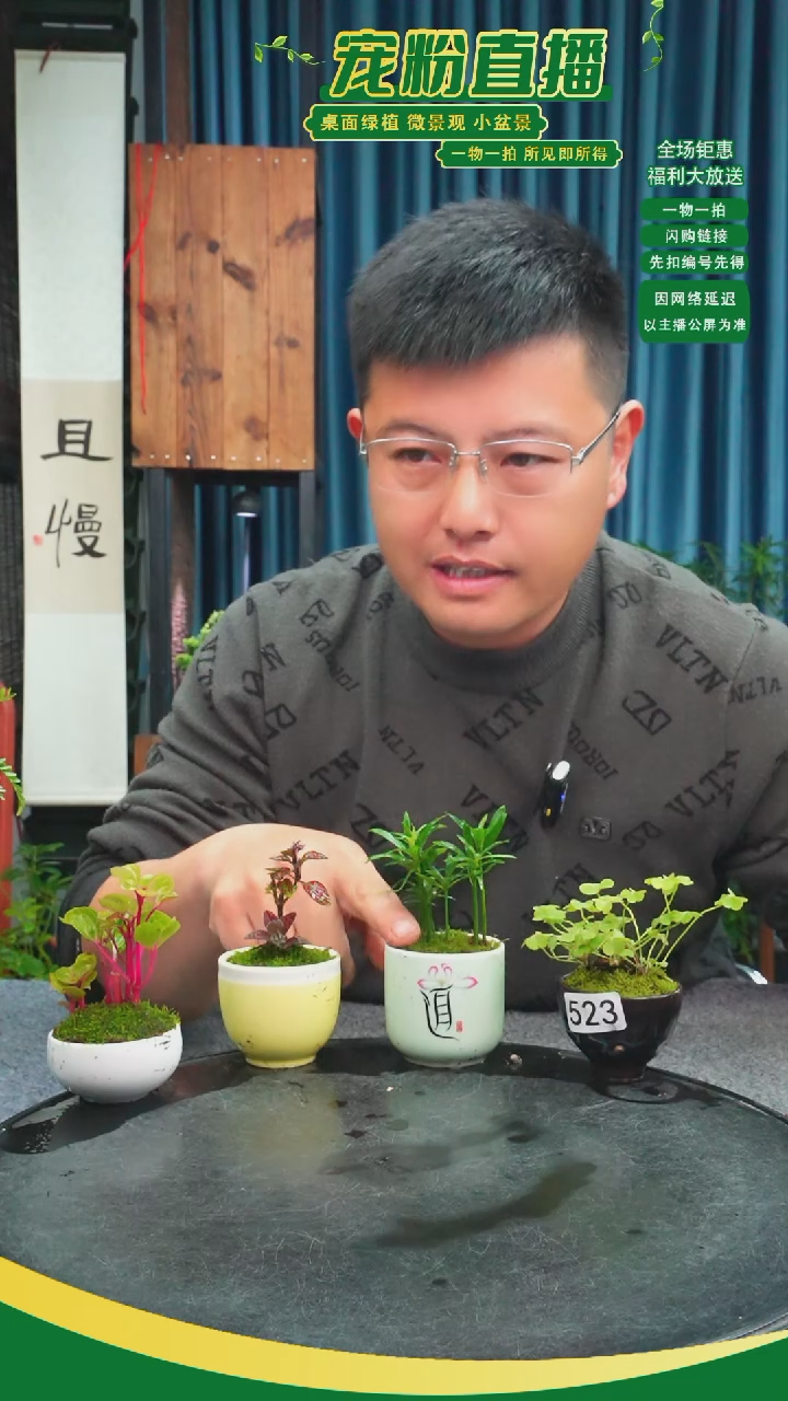 无花朵零*苔藓微景观523号